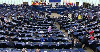 Dues llengües oficials sense traducció al Parlament Europeu